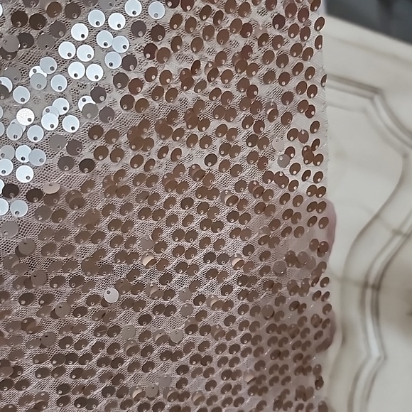 NWT Love On A Hangar Nude Sequince V Neck Tank Top Sz M - Picture 8 of 9